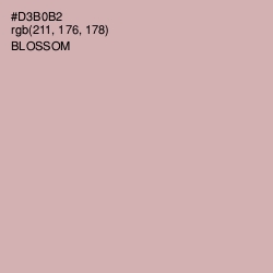 #D3B0B2 - Blossom Color Image