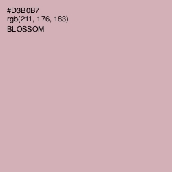 #D3B0B7 - Blossom Color Image