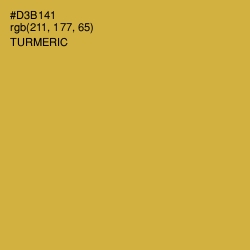 #D3B141 - Turmeric Color Image