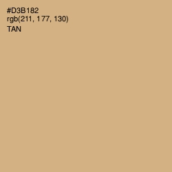 #D3B182 - Tan Color Image