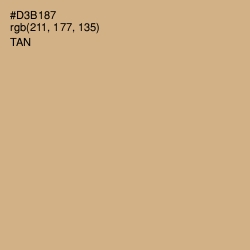 #D3B187 - Tan Color Image