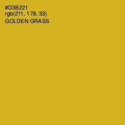 #D3B221 - Golden Grass Color Image