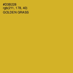 #D3B228 - Golden Grass Color Image