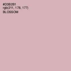 #D3B2B1 - Blossom Color Image