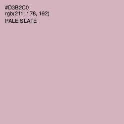 #D3B2C0 - Pale Slate Color Image