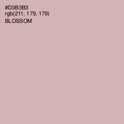 #D3B3B3 - Blossom Color Image