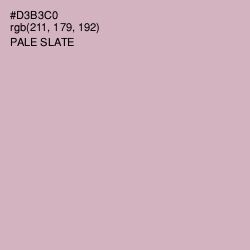 #D3B3C0 - Pale Slate Color Image