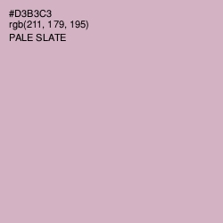 #D3B3C3 - Pale Slate Color Image