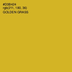 #D3B424 - Golden Grass Color Image