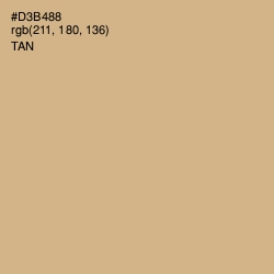 #D3B488 - Tan Color Image