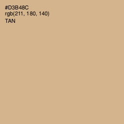 #D3B48C - Tan Color Image