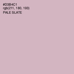 #D3B4C1 - Pale Slate Color Image