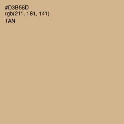#D3B58D - Tan Color Image