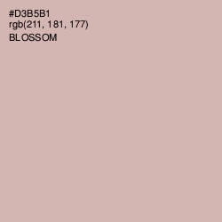 #D3B5B1 - Blossom Color Image