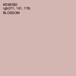 #D3B5B2 - Blossom Color Image
