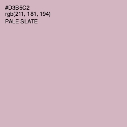 #D3B5C2 - Pale Slate Color Image