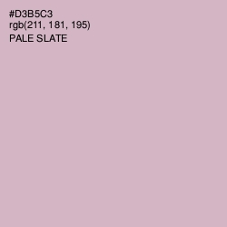 #D3B5C3 - Pale Slate Color Image