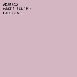 #D3B6C2 - Pale Slate Color Image