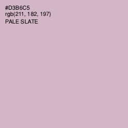 #D3B6C5 - Pale Slate Color Image