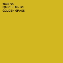 #D3B720 - Golden Grass Color Image