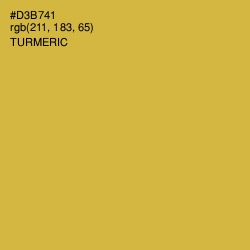 #D3B741 - Turmeric Color Image