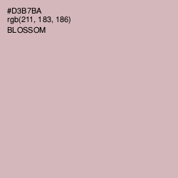 #D3B7BA - Blossom Color Image