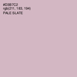 #D3B7C2 - Pale Slate Color Image