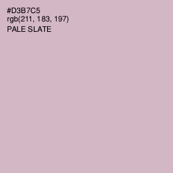 #D3B7C5 - Pale Slate Color Image