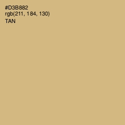 #D3B882 - Tan Color Image