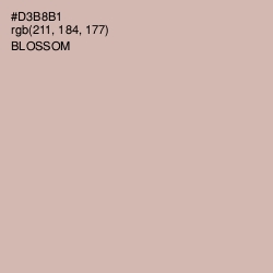 #D3B8B1 - Blossom Color Image