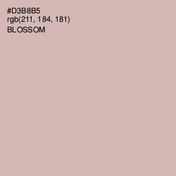 #D3B8B5 - Blossom Color Image