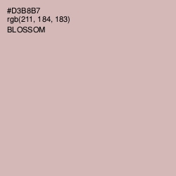 #D3B8B7 - Blossom Color Image