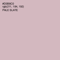 #D3B8C0 - Pale Slate Color Image