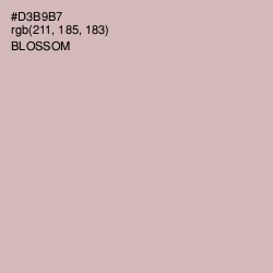 #D3B9B7 - Blossom Color Image