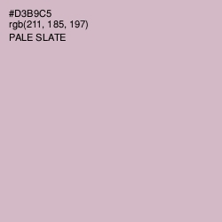 #D3B9C5 - Pale Slate Color Image