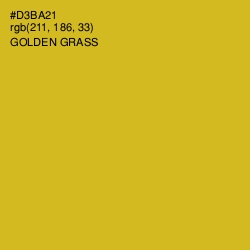 #D3BA21 - Golden Grass Color Image