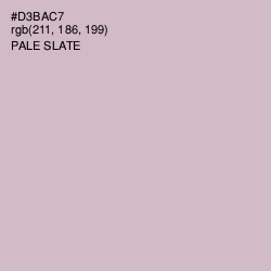 #D3BAC7 - Pale Slate Color Image