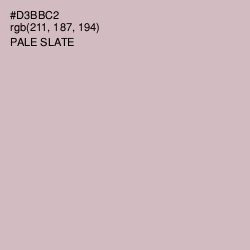 #D3BBC2 - Pale Slate Color Image