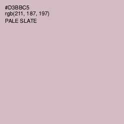 #D3BBC5 - Pale Slate Color Image