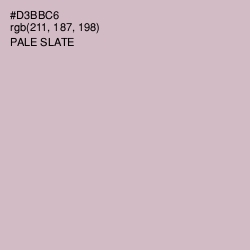 #D3BBC6 - Pale Slate Color Image