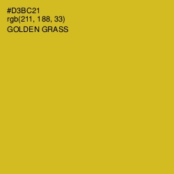 #D3BC21 - Golden Grass Color Image