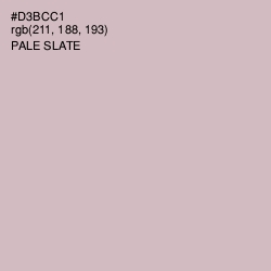 #D3BCC1 - Pale Slate Color Image