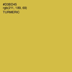 #D3BD45 - Turmeric Color Image