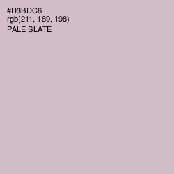 #D3BDC6 - Pale Slate Color Image