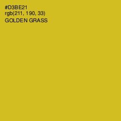 #D3BE21 - Golden Grass Color Image