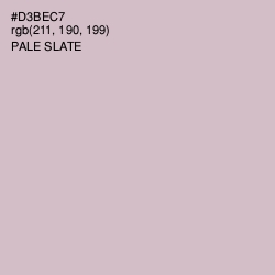 #D3BEC7 - Pale Slate Color Image