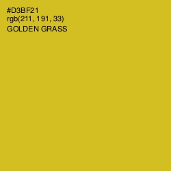 #D3BF21 - Golden Grass Color Image