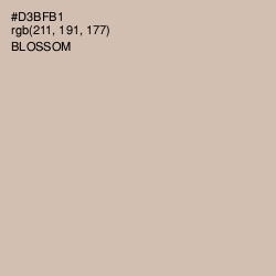 #D3BFB1 - Blossom Color Image