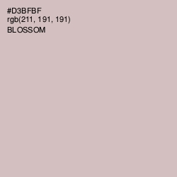 #D3BFBF - Blossom Color Image