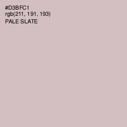 #D3BFC1 - Pale Slate Color Image